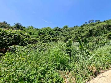 南投買房推薦  南投名間番子寮坑內巷1.1甲山坡農牧地
