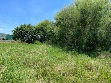台中大肚區溪洲段1甲7分大農地  彰化賣房 和美田地 和美買房