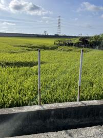 線西工業區旁田  彰化賣房 和美田地 和美買房
