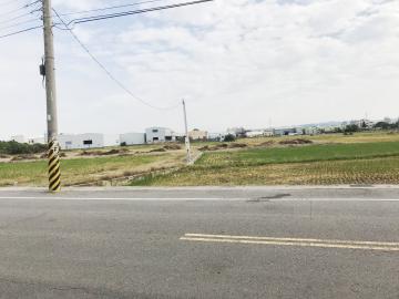 環河街美田