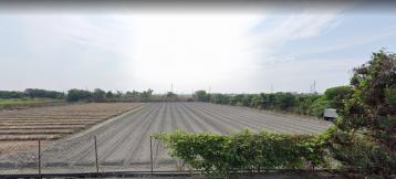 田尾海豐崙排水田地