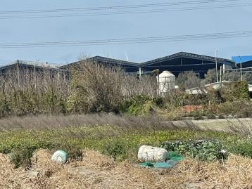 線西蛤蜊兵營田地