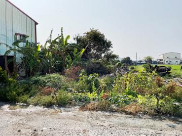 秀水番花路建地