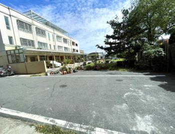 頂番大地坪雙車別墅