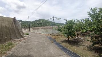  高屏土地房屋 ✨旗山圓潭4.99分大面寬方正農地