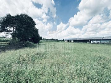 官田區旭陽農場旁大路邊方正農地