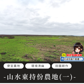 【持份】山水東持份農地(一)　★澎湖房地產★土地房屋買賣租賃