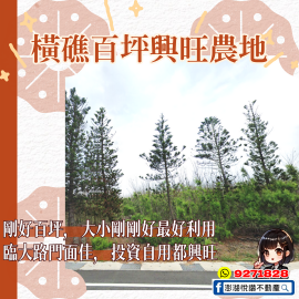 橫礁百坪興旺農地　★澎湖房地產★土地房屋買賣租賃