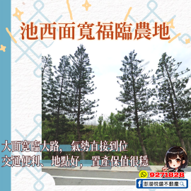 池西面寬福臨農地　★澎湖房地產★土地房屋買賣租賃