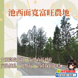 池西面寬富旺農地　★澎湖房地產★土地房屋買賣租賃
