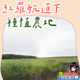 紅羅航道下種植農地　★澎湖房地產★土地房屋買賣租賃