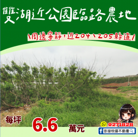 雙湖近公園臨路農地　★澎湖房地產★土地房屋買賣租賃
