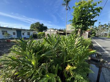 花蓮土地農舍 獨家國際慢城鳳林高級住宅區都內面寬18米建地