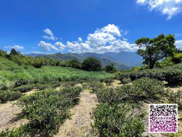 三峽太師椅180度山景合法資材室 農地農舍買賣