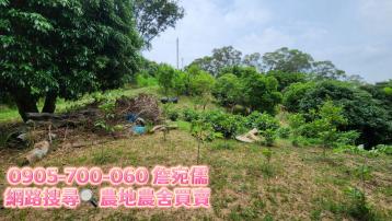 新竹土地買賣 田園景觀稜線平台寶地