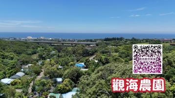 通霄農地買賣 可觀海的大露台小木屋
