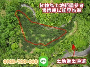 新竹北埔｜綠世界生態農場旁｜老欉柿子園