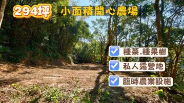 苗栗三義土地｜小面積有大樹美地｜近卓也小屋