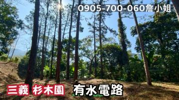 三義農地出售｜杉木高聳林立｜有水電臨路單位