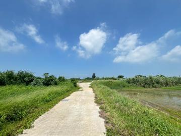 西堡大面寬臨路農地 金門土地買賣