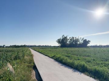 沙崗臨路方正農地 金門土地買賣