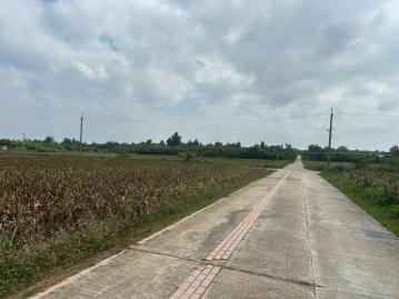 西堡靠海臨路農地 金門土地買賣