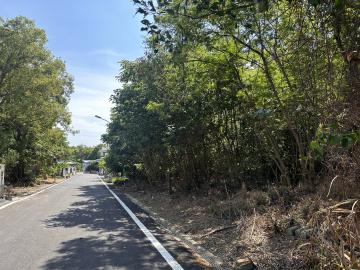 苑裡房仲夫妻 苑裡興隆朝南丙建