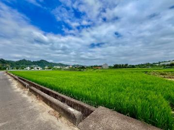 新埔臨路大面寬【一般農業區】聽鈞一席話 房地不複雜