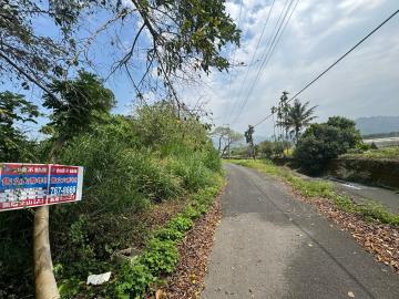 名間鄉 新街 近彰南路 1.1甲肥沃大農地