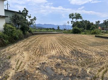 瑞穗農地小坪數好規劃低總價好入手