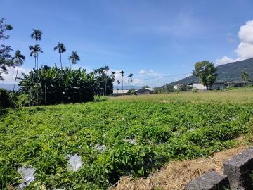 花蓮慢城近新光兆豐農場農建地