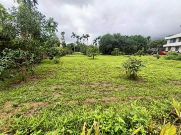 B1113吉安太昌區精華地段農地都計可分割前後路