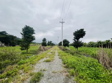 B1115花東縱谷間的農地大坪數好規劃都計內農地可分售