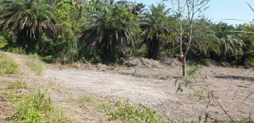 A363東華大學旁重劃區道路用地可多用途使用