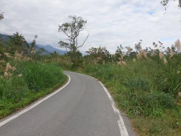A393東華大學重劃區用地此為住宅用地種植中