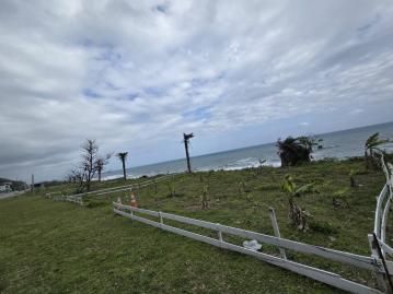 B1147台11線上海景第一排農地送挑高農業設施建物