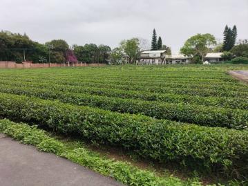 龍潭交流道甲種建地