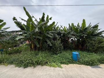 龍潭金龍路休閒農地C