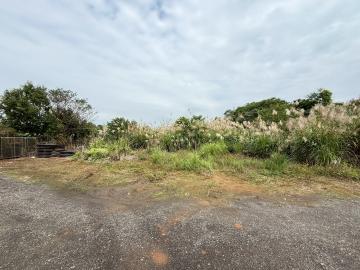 龍潭客家文化館旁投資節稅美農地