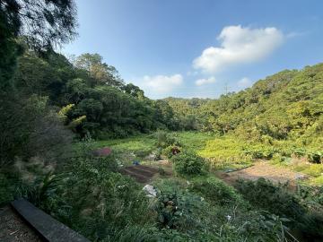 橫山沙坑農+建休閒投資兼具美農地