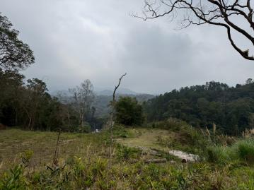 橫山沙坑竹科生態村珍稀美農地打造夢想家園(I)