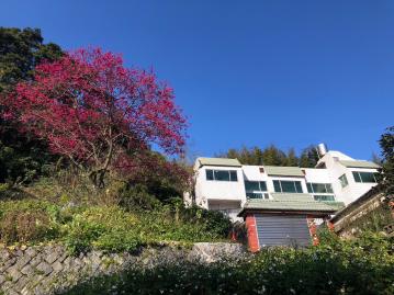 桃園農舍農地 台北後花園陽明山莊園別墅6房3車