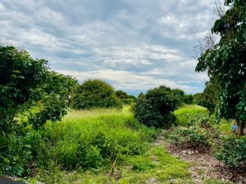 草屯房屋土地 專任彰化芬園寶山國小旁2.3分平坦農地