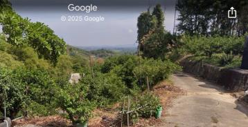 草屯房屋土地 中寮天隆宮旁低總價農保用地~車可達