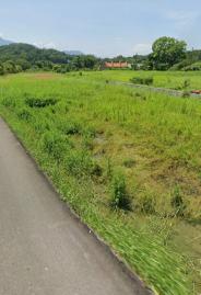 三灣北銅鏡段美農地