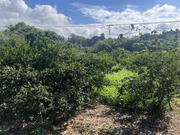 南投縣新後寮段｜中寮行情價乙種建地 瑞禾不動產專家