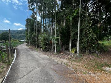 專任~新社天冷平坦山坡農牧用地+百坪丙建