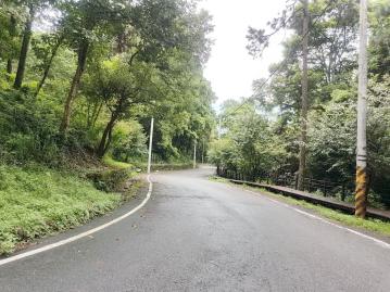 卓蘭綠樹林幸福農地 卓蘭農地達人