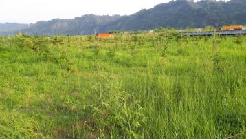 7.6分河川地 卓蘭農地達人