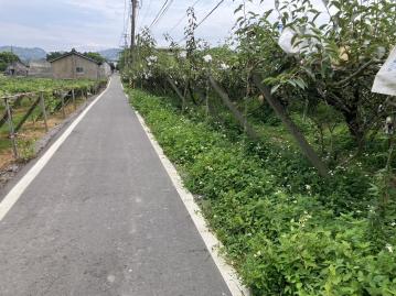 水廠梨園 卓蘭農地達人